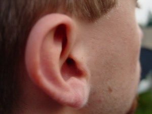 Męskie ucho